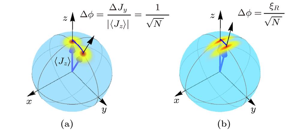 The Husimi distribution of spin coherent state (left) and spin squeezed state (right) on the generalized Bloch sphere. Adapted from Ref. [39].自旋相干态(左)与自旋压缩态(右)在广义Bloch球上的Husimi分布(摘自文献[39])