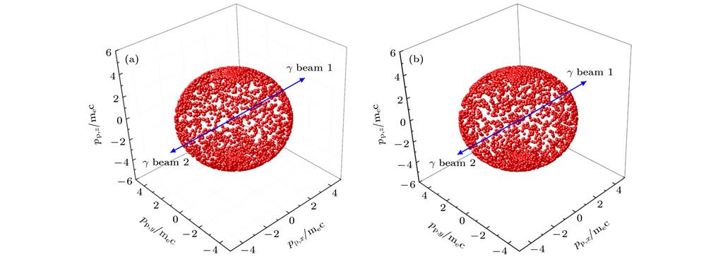 (a) Electron momentum distribution; (b) positron momentum distribution of 180° collision of single-energy photons.单能光子180°对撞时 (a)电子动量分布; (b)正电子动量分布