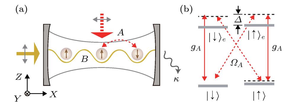(a) A quasi-one-dimensional Fermi gas, which is coupled to a two-mode optical cavity, is under both transverse (along ) and longitudinal (along ) pumping; (b) the level scheme of atom[76](a)准一维费米气体与双模光腔耦合的示意图. 在腔轴向(沿轴)和径向(沿轴)均有泵浦光; (b)原子能级和光耦合的示意图[76]