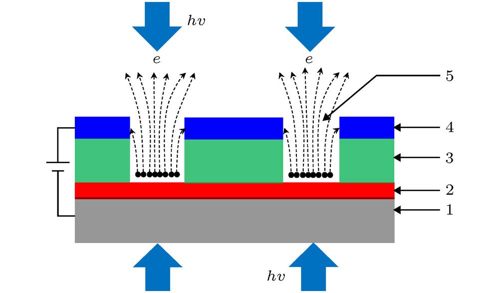 Working principle of photocathode with vacuum channel. Symbol 1, 2, 3, 4 and 5 are negative electrode, photocathode material, insulation, grid electrode and vacuum channel, respectively.