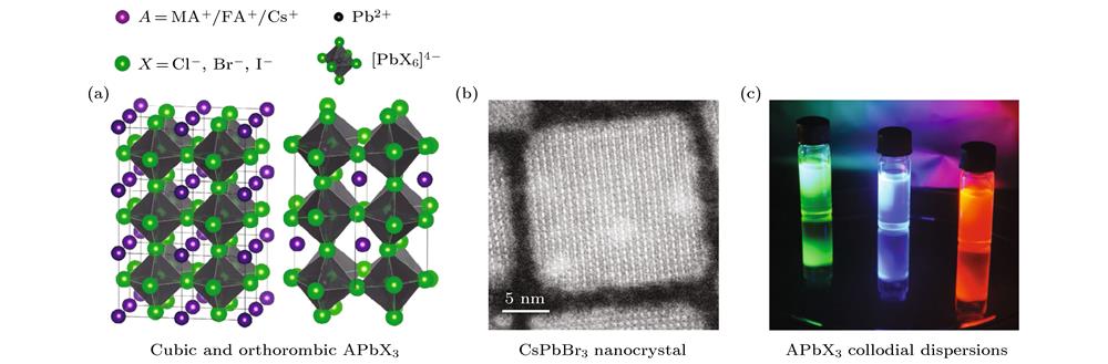 Colloidal lead halide perovskite NCs: (a) The APbX3 perovskite structure with 3D-corner-sharing octahedra. (Cubic (MAPbX3, FAPbX3; two unit cells shown) on the left and orthorhombic (CsPbX3) on the right); (b) high-angle annular dark-field scanning transmission electron micrograph (HAADF-STEM) of a single, cube-shaped CsPbBr3 NCs, with 15 nm edge length; (c) photograph of highly luminescent colloidal NCs, from left to right, CsPbBr3 with emission peak at 520 nm, CsPb(Cl/Br)3 emitting at 450 nm and FAPb(Br/I)3 emitting at 640 nm)[15].