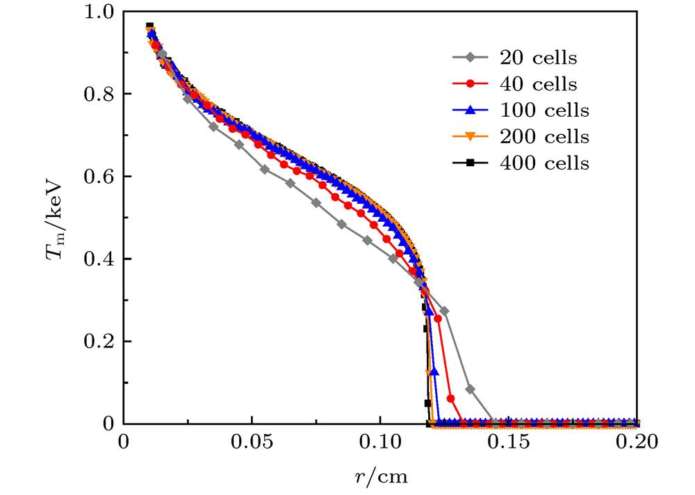 Material temperature with different cell numbers (t = 10 ns).