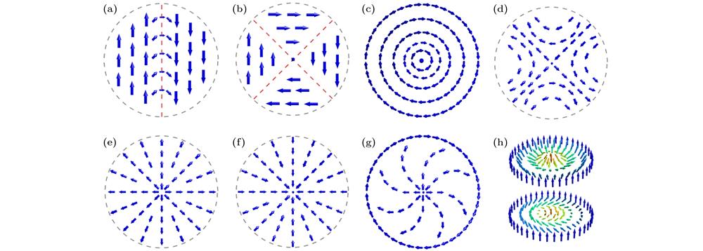 Typical spin topology defects in magnetic materials: (a) Domain wall[42]; (b) flux-closure pattern[42]; (c) vortex[43]; (d) anti-vortex[43]; (e) center-divergent pattern[43]; (f) center-convergent pattern[43]; (g) meron[43,70]; (h) skyrmion[43,70].
