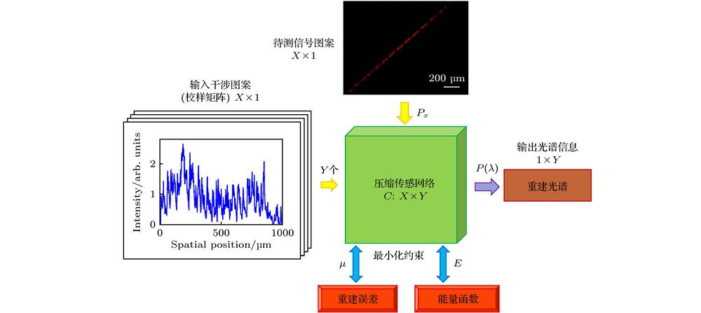 The detecting principle of the spectrometer based on a multimode fiber.