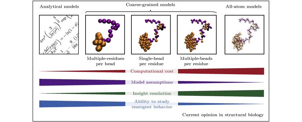 Computational approaches utilized to study protein liquid-liquid phase separation (LLPS). From left to right are the analytical model, the coarse-grained model (multiple-residues per bead, single-bead per residue and multiple-beads per residue coarse-grained models), and all-atom model. High-resolution descriptions increase the computational cost of the simulations. All-atom model is often impractical for the study of emergent behavior of LLPS[35].