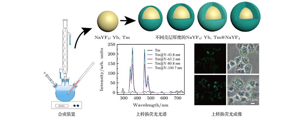Schematic design of core-shell structured upconversion nanoparticles synthesized with the hot injection method.