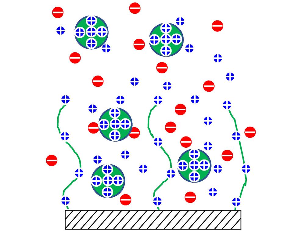 Schematic of a polyelectrolyte brush immersed in a nanoparticle solution