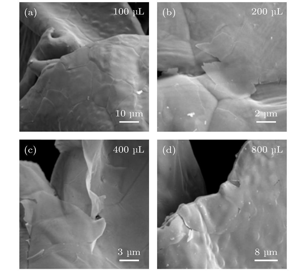SEM images of GF prepared with different amounts of solid carbon source: (a) 100 μL; (b) 200 μL; (c) 400 μL; (d) 800 μL.