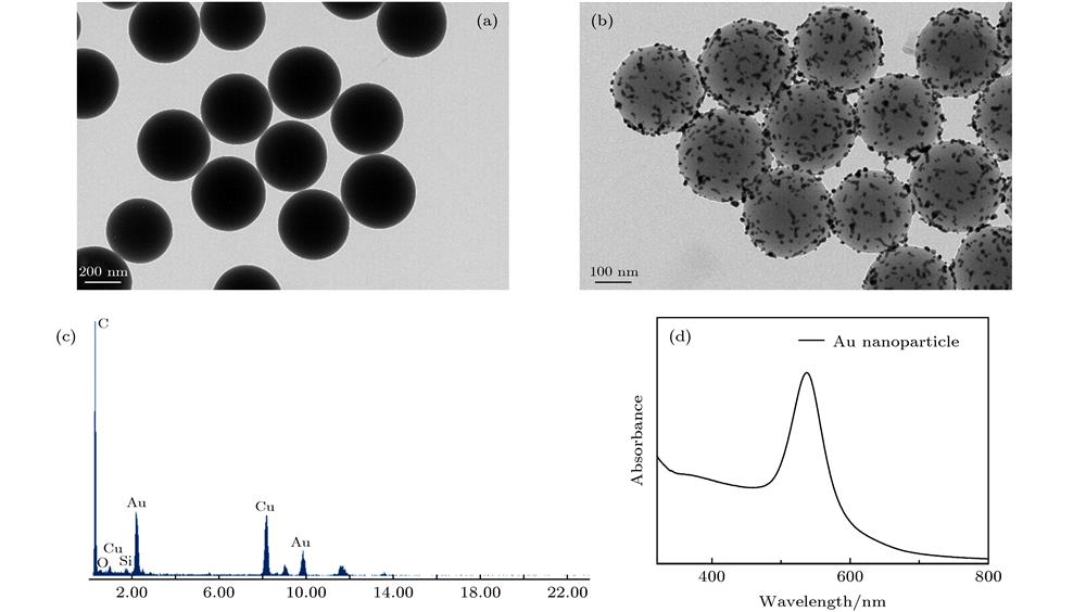 (a) TEM image of the SiO2 sphere; (b) TEM image of the SiO2@Au; (c) EDS image of the Au nanoparticles; (d) absorption spectra of pure Au nanoparticles.