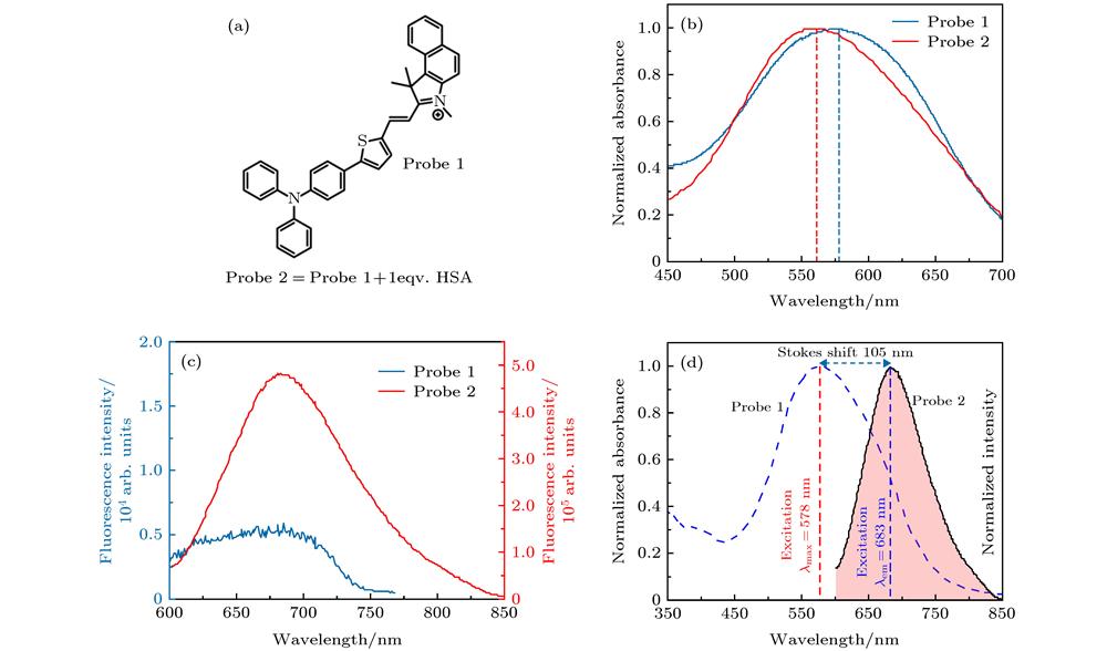 Chemical structure and spectra characterization of target probe: (a) Chemical structure of probe 1; (b) excitation spectra of probe1 (blue)and 2 (red); (c) emission spectra of probe1 (blue) and 2 (red); (d) excitation spectrum of probe 1 (blue) and emission spectrum of probe 2 (red).