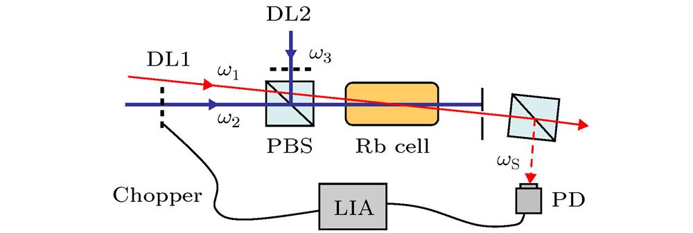 Experimental setup. DL1 and DL2, diode lasers; PBS, polarizing beam splitter; PD, photodetector; LIA, lock-in amplifier.