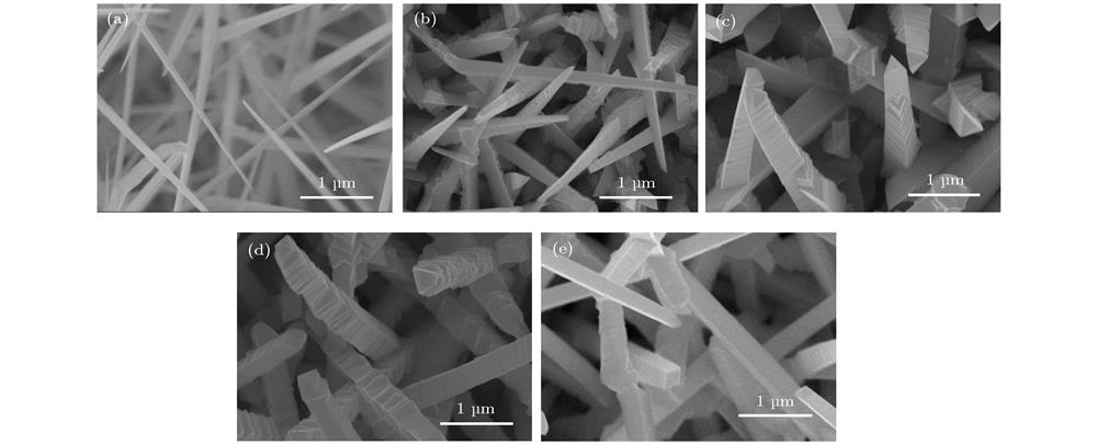 FESEM images Mg doped GaN nanowires prepared at different source materials ratio. (a) Sample A-a; (b) sample A-b; (c) sample A-c; (d) sample A-d; (e) sample A-e.