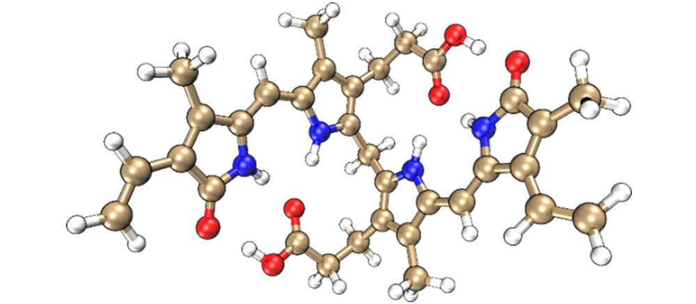 The molecular structure of bilirubin studied in this work.