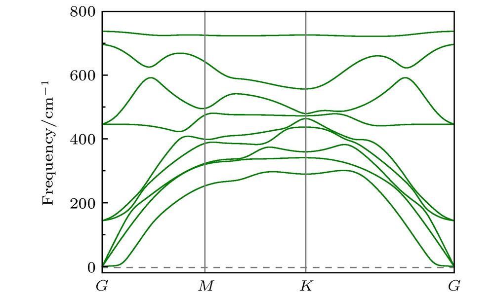 Phonon spectrum of monolayer TiO2.