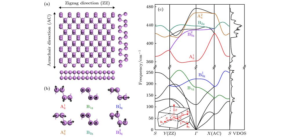 (a) Crystal structure of black phosphorus; (b) atomic displacements of phonon modes in black phosphorus; (c) phonon dispersion, vibration density of states (VDOS) and schematic diagram of first Brillouin zone of bulk black phosphorus. Raman modes at the Brillouin zone center are labeled[9]