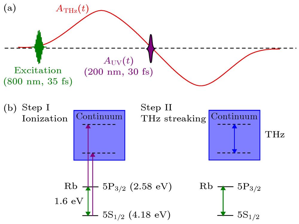 Schematic diagram of terahertz-streaking photoioniza-tion experiments. (a) The probe pulses consist of a ultraviolet pulse and a terahertz pulse. The ultraviolet pulse is locked at the zero point of terahertz vector potential. The superposition state of rubidium atoms is excited by an infrared pulse. (b) Schematic diagram in energy representation. First, the electrons in the superposition state of rubidium atoms are ionized by a UV femtosecond pulse to form two characteristic spectral lines in the photoelectron energy spectrum. Second, the continuous electron with different final momenta is driven by the terahertz pulse. The spectral lines are broadened and the interference occurs.