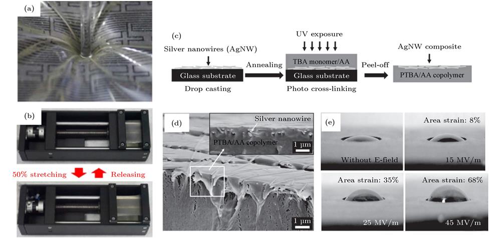 (a) Stretched area created by pressing AgNW-PUU-PDMS (silver nanowires-polyurethane-urea poly(dimethylsiloxane)) film with the end of a glass rod; (b) photographs of sample mounted on a stretching tester and sample after 50% increase in film length[14]; (c) schematic illustration of the fabrication process of AgNW-polymer composites; (d) scanning electron microscope (SEM) image of the conductive cross-section surface of a AgNW-poly(TBA-co-AA) (poly(tert-butylacrylate-co-acrylic acid)) composite; (e) photographs of deformed circular active area of actuator in response to electric fields with different amplitude[34].