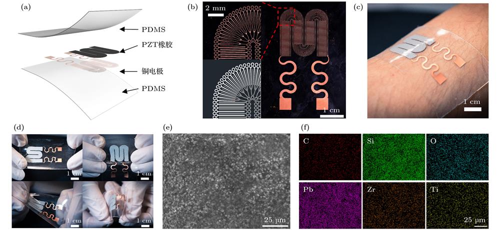The flexible piezoelectric epidermal electronic device: (a) Explosive view of the structure of the device; (b) overall and detailed photos of the serpentine structured interdigital electrodes and the design; (c) photograph showing the device attached to the skin; (d) photographs showing the device under longitudinal and latitudinal stretching, twisting and bending, respectively; (e) the SEM image of the surface morphology of the graphene/PZT/PDMS ternary piezoelectric rubber; (f) energy dispersive X-ray spectroscopy (EDX) images illustrating the distribution of C, Si, O, Pb, Zr and Ti.