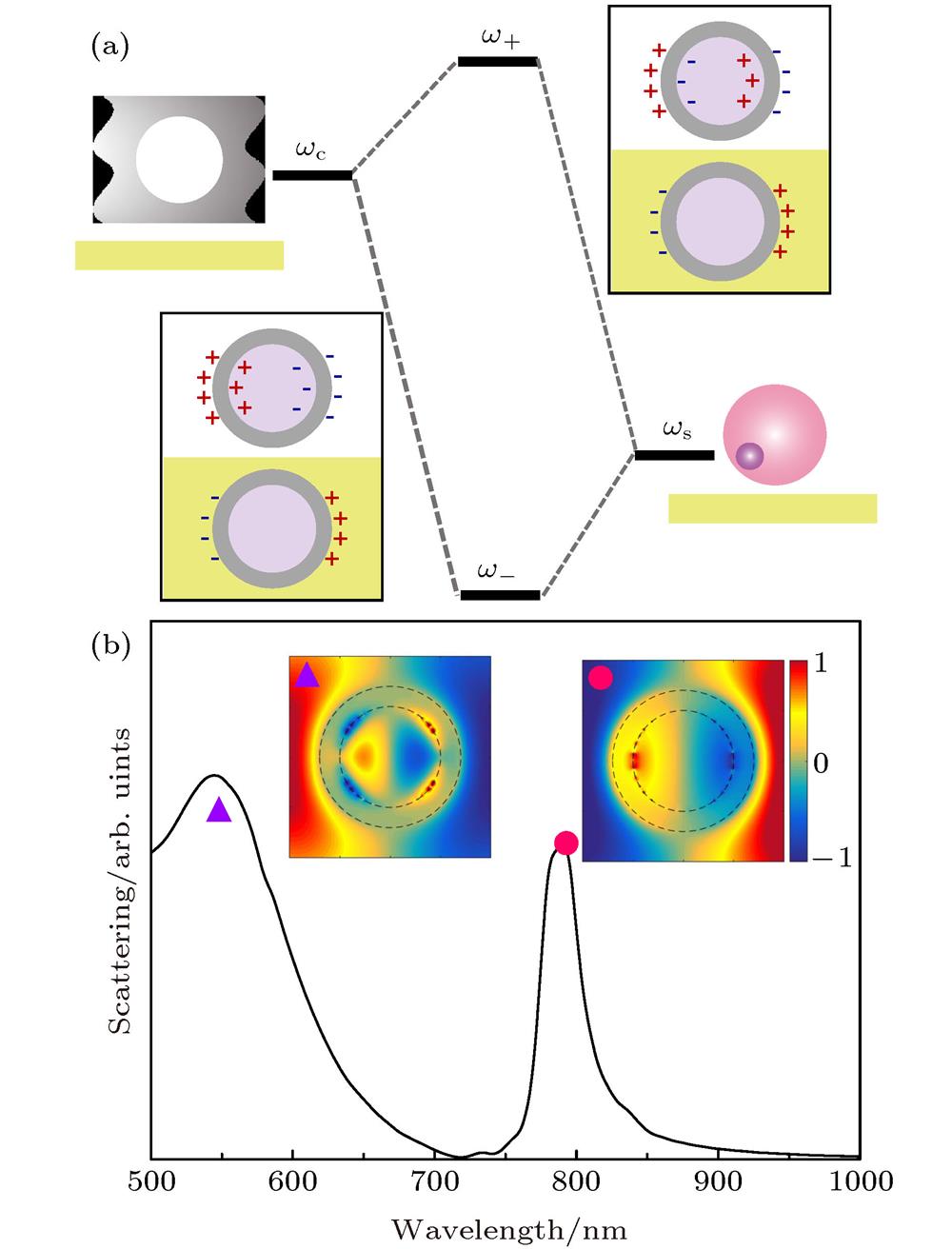 (a) Scheme of plasmon hybridization picture of the core-shell on gold film; (b) scattering spectrum of core-shell particles on gold film. The inset of panel (b) shows the z-component of the electric field in xy plane.