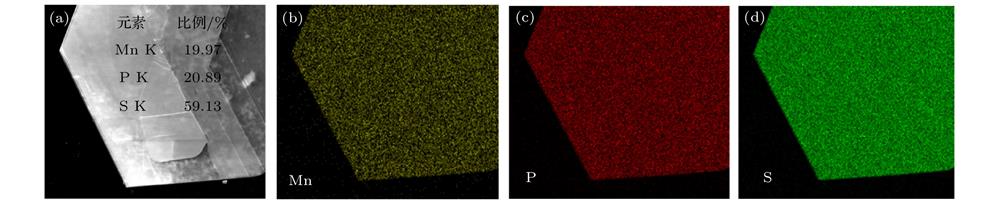 SEM characteristics of MnPS3 -SA: (a) SEM image of a randomly selected MnPS3 flake, and elemental analysis of this sample; (b)−(d) EDX element mappings for Mn, P, and S.