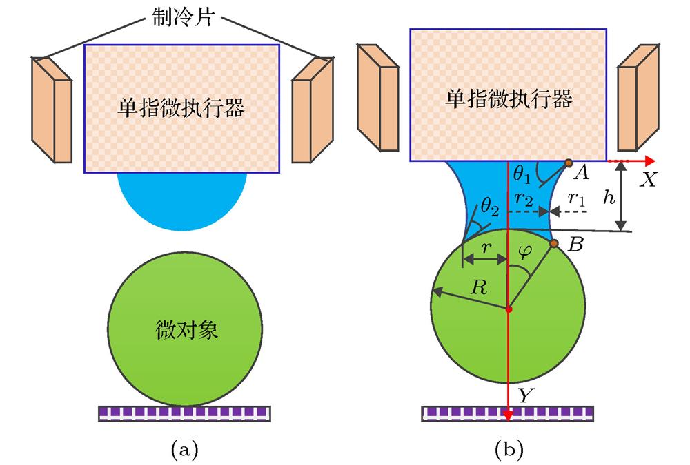 Principle of micromanipulation: (a) Droplet condensation; (b) pick-up.