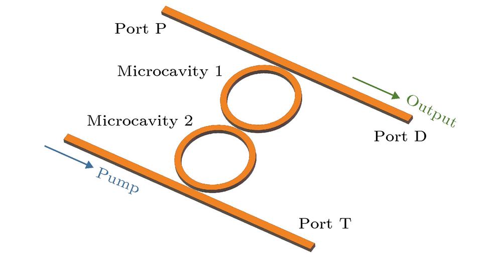 Structure of the dual coupled optical microcavities.