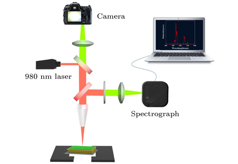 Schematic explanation of confocal microscopy setup.