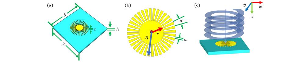 Schematic diagram of simulation structure: (a), (b) Metal disk with subwavelength periodic grooves; (c) the vertical incidence terahertz vortex beam to the metal disc.