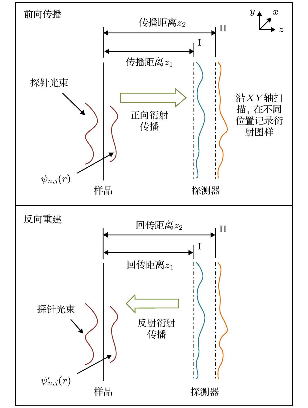 Schematic diagram of dual plane ptychographic imaging.双物距叠层成像的原理图