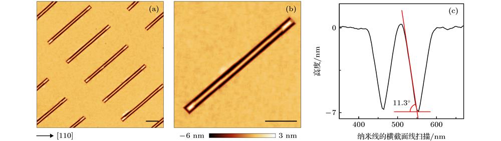 (a) AFM image of ordered GeSi wires on trench patterned substrate; (b) AFM image of zoom-in individual GeSi nanowire; (c) AFM linescan along the cross-section of a GeSi nanowire. Inset scale bar: 500 nm.(a)硅衬底上有序锗硅纳米线的AFM图; (b)单根锗硅纳米线的AFM图; (c)单根纳米线的表面线扫描图, 图中标尺均为500 nm