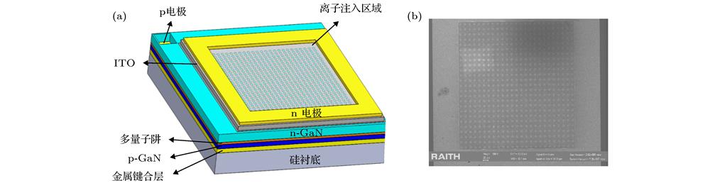 (a) Schematic structure of micro-LED array; (b) SEM image of 10 μm micro-LED array surface.(a) micro-LED阵列结构图; (b) 10 μm micro-LED阵列表面SEM图像