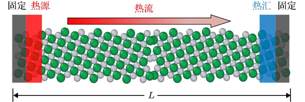 Schematic diagram of the NEMD model for calculating the thermal properties.NEMD模拟计算热性质的示意图