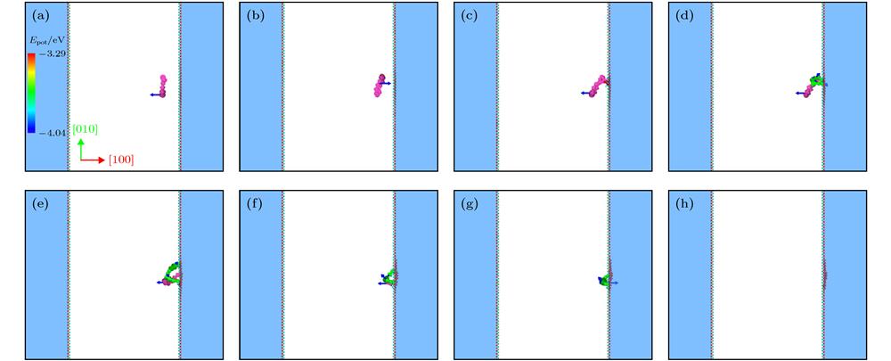 Evolution of a dislocation loop at 300 K with its Burgers vector along the normal direction of surface of {100}. The motion processes of loop are shown in panel (a) to (c) before its interaction with surface, which are shown in panel (d) to (g). Panel (h) is the final state after the absorption of loop by surface.位错环伯格斯矢量平行于表面法线方向, 300 K时位错环的演化过程 (a)−(c)位错环向表面运动过程示意图; (d)−(g)位错环与表面发生反应过程; (h)位错环最终被表面吸收后的状态
