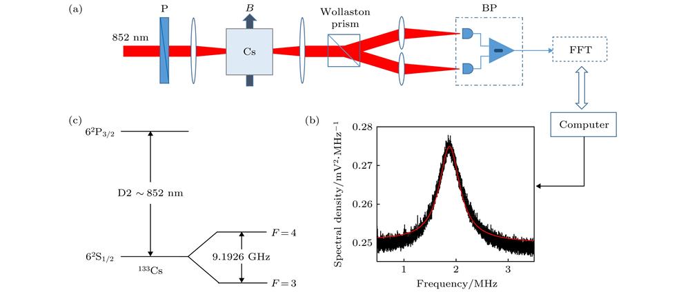 (a) Schematic of the experimental apparatus (P-polarizer, B-magnetic fields, BP-balanced homodyne detector, FFT-fast Fourier transform); (b) typical spin noise spectrum of 133Cs in cell 1 (the laser is detuned ΩD2 = + 600 MHz from the D2 transition (62S1/2 (F = 4) → 62P3/2). The temperature of atomic cell is 296 K. The laser power P = 500 μW. Magnetic field B = 5 G); (c) D2 line transition and ground-state hyperfine structure of 133Cs.(a)自旋噪声谱的实验原理图(P是偏振片, B是外加磁场, Wollaston prism是沃拉斯顿棱镜, BP是平衡零拍探测器, FFT是快速傅里叶变换); (b)气室1中经典的133Cs自旋噪声谱(激光失谐频率ΩD2 = + 600 MHz于D2线(62S1/2 (F = 4) → 62P3/2), 原子气室温度T = 296 K, 激光功率P = 500 μW, 外加磁场B = 5 G); (c) 133Cs的D2跃迁线和基态超精细结构