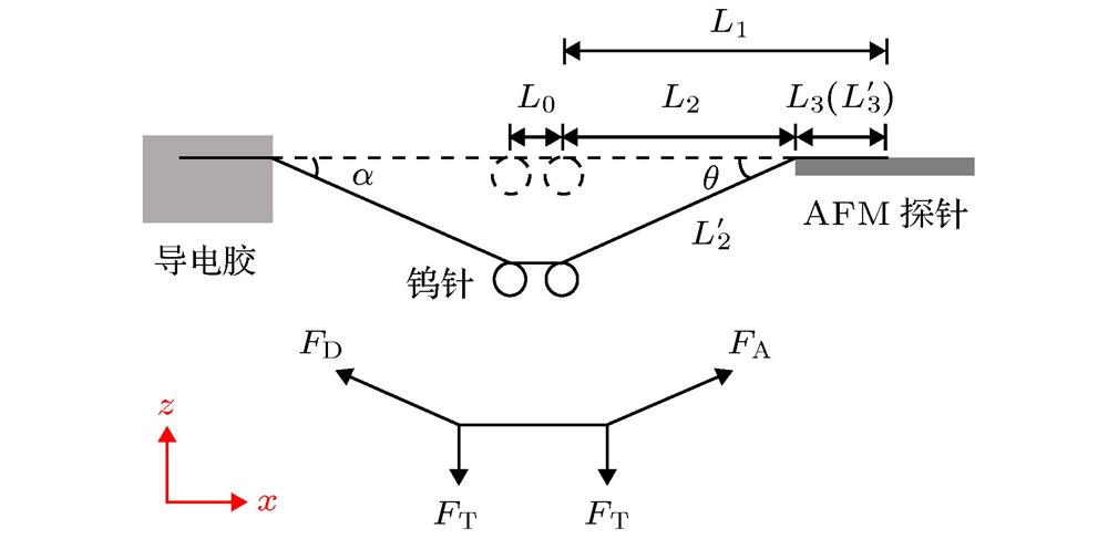 Schematic diagram of mechanics during contact.