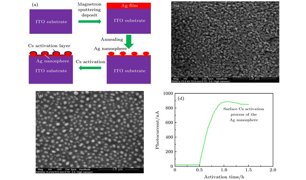 Fabrication and activation process of the Ag nanosphere photocathode: (a) Schematics of the fabrication process for Ag nanosphere photocathode; (b) SEM image of the Ag film; (c) SEM image of the Ag nanosphere; (d) surface Cs activation process of the Ag nanosphere.
