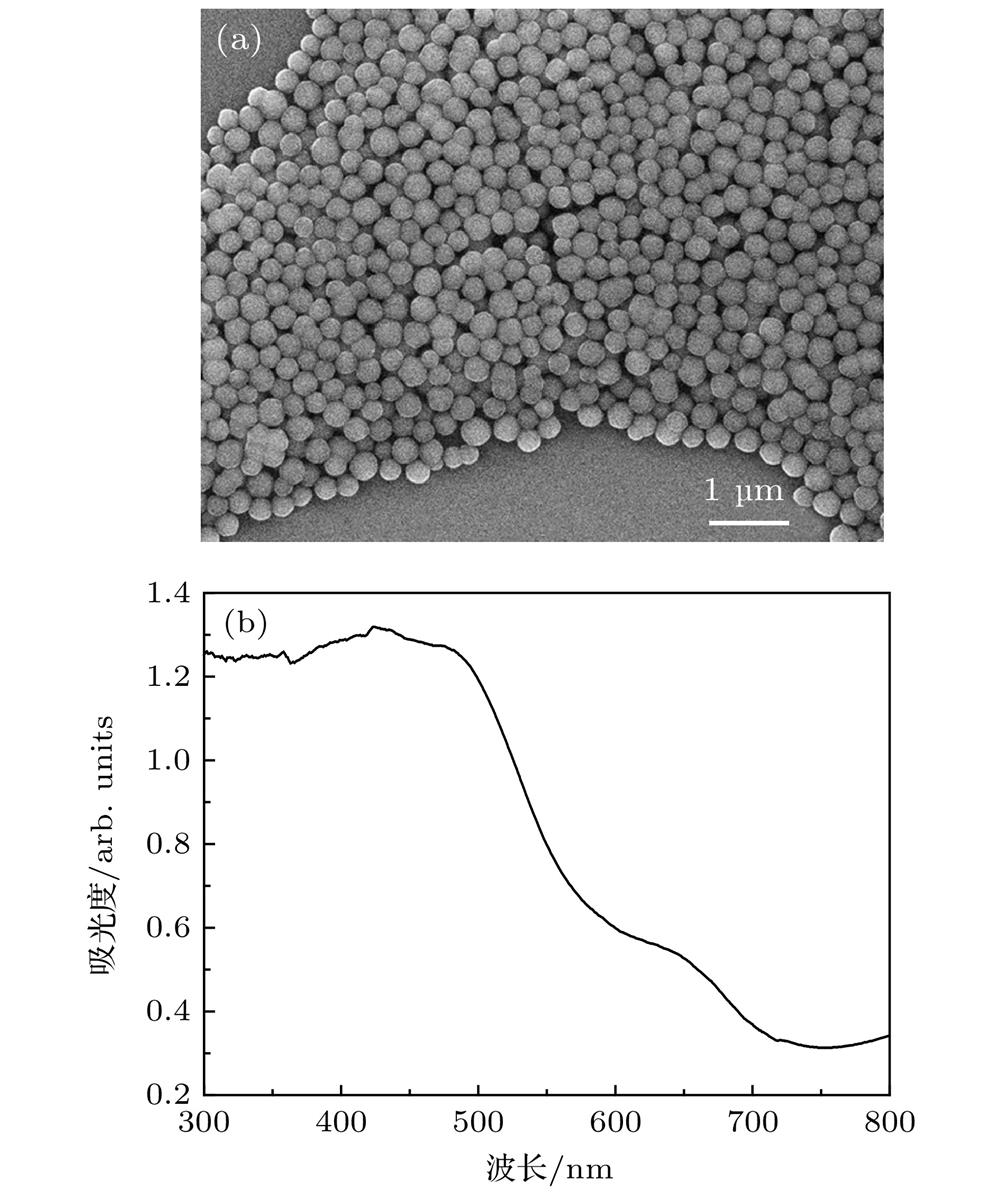 Scanning electron microscopy image (a) and UV-Vis absorption spectrum (b) of Fe3O4 nanoparticle.