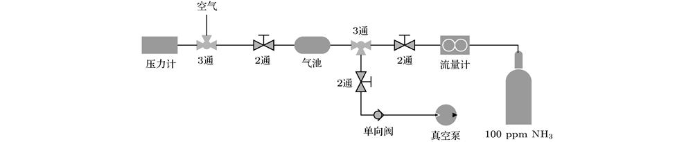 Experimental gas path diagram.