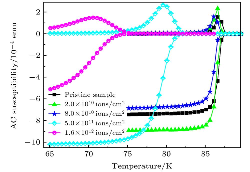AC susceptibility versus temperature of YBCO high temperature superconductor films irradiated with different fluences.