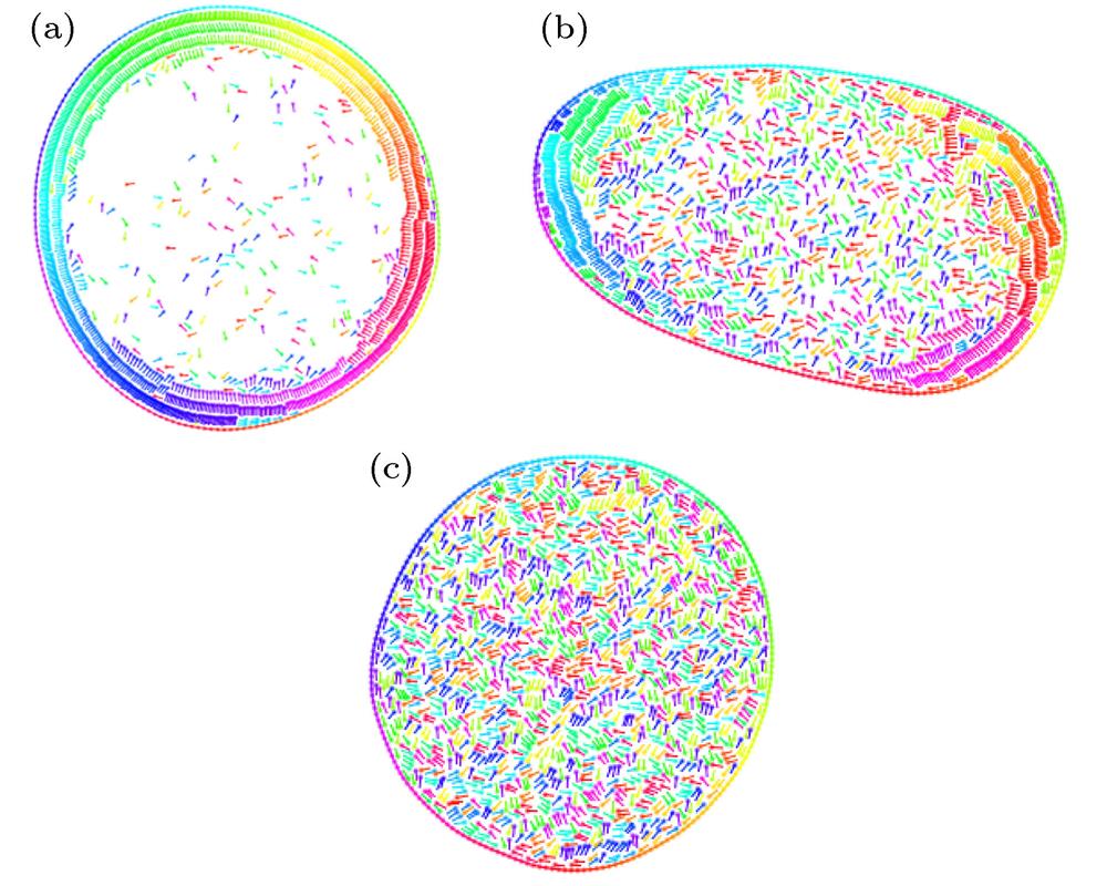 The snapshots of three regions with fixed particle number for different noise levels, and, respectively, with (a) , self-propelled particle absorbed ordered region, (b) transient region, and (c) disordered phase. The color represents the radial direction as Fig.1.
