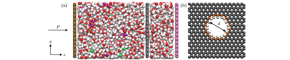 (a) Molecular dynamics model for pressure-driven reverse osmosis by a hydrogenated porous graphene. The dark gray particles are carbon atoms of grapheme. The red, white, purple, and green spheres represent the oxygen atoms, hydrogen atoms, sodium ions, and chloride ions in the brine, respectively. The monolayer graphene at the left side is used to provide driving pressure, while the one at the right side is rigid boundary to confine the solvent. (b) A hydrogenated porous graphene reverse osmosis membrane model. The white and yellow particles are hydrogen and carbon atoms with the same positive and negative charges, respec-tively.