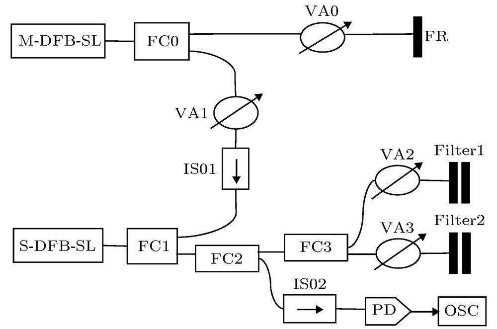 Schematic diagram of the SL-EOI-DFOF system.