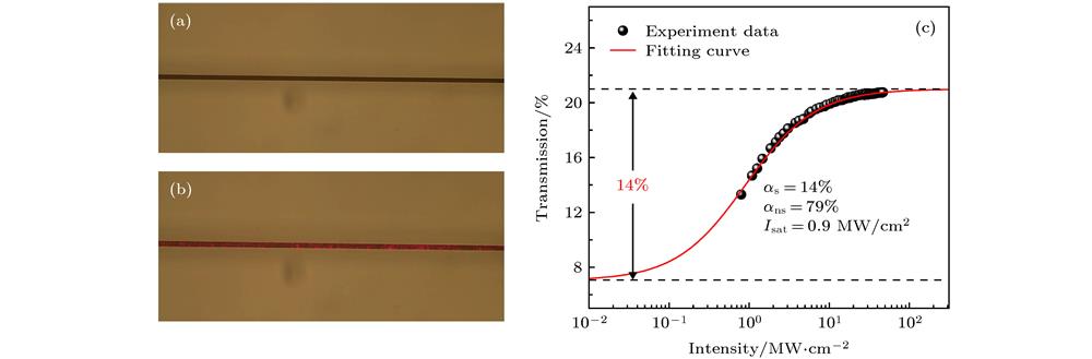 Nonlinear characterization of micro-nano fiber-bismuth SA: Optical microscope images of the waist region of the sample (a) without and (b) with the guiding 650 nm light; (c) saturable absorption property of SA.
