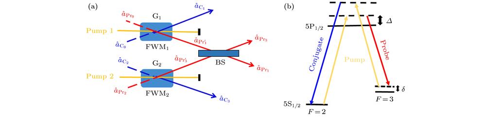 A simplified diagram of quadripartite entanglement and an energy level diagram of rubidium-85: (a) C0 and C2 are vacuum states, Pr0 and Pr2 are coherent states; C1 and are the twin beams generated by the first four-wave mixing process, C3 and are the twin beams generated by the second four-wave mixing process; Pr1 and Pr3 are produced by mixing beams and through a linear beam splitter; (b) the double Λ energy level structure of D1 line in rubidium-85, Δ and δ represent one-photon detuning and two-photon detuning respectively.