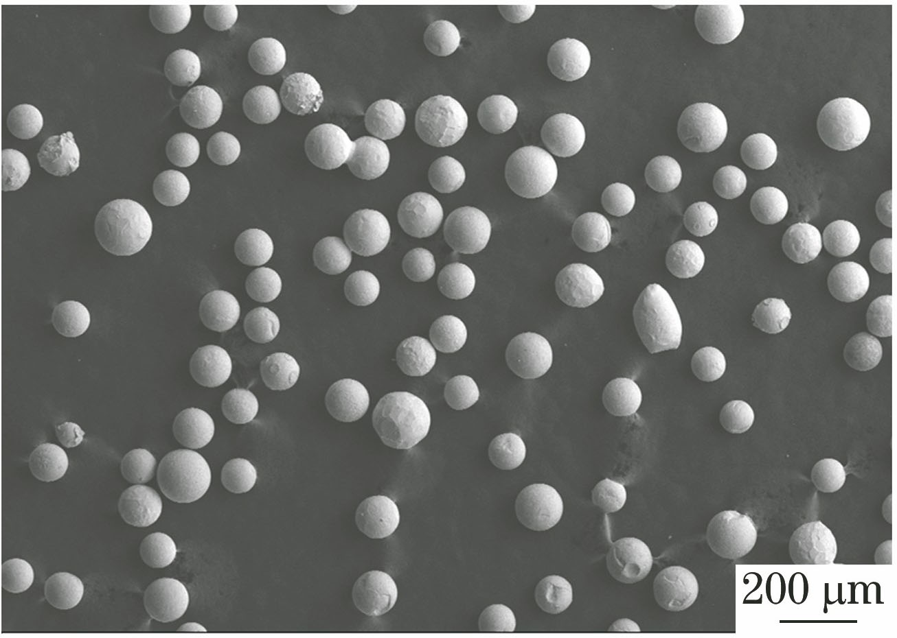 Morphology of spherical WC particles