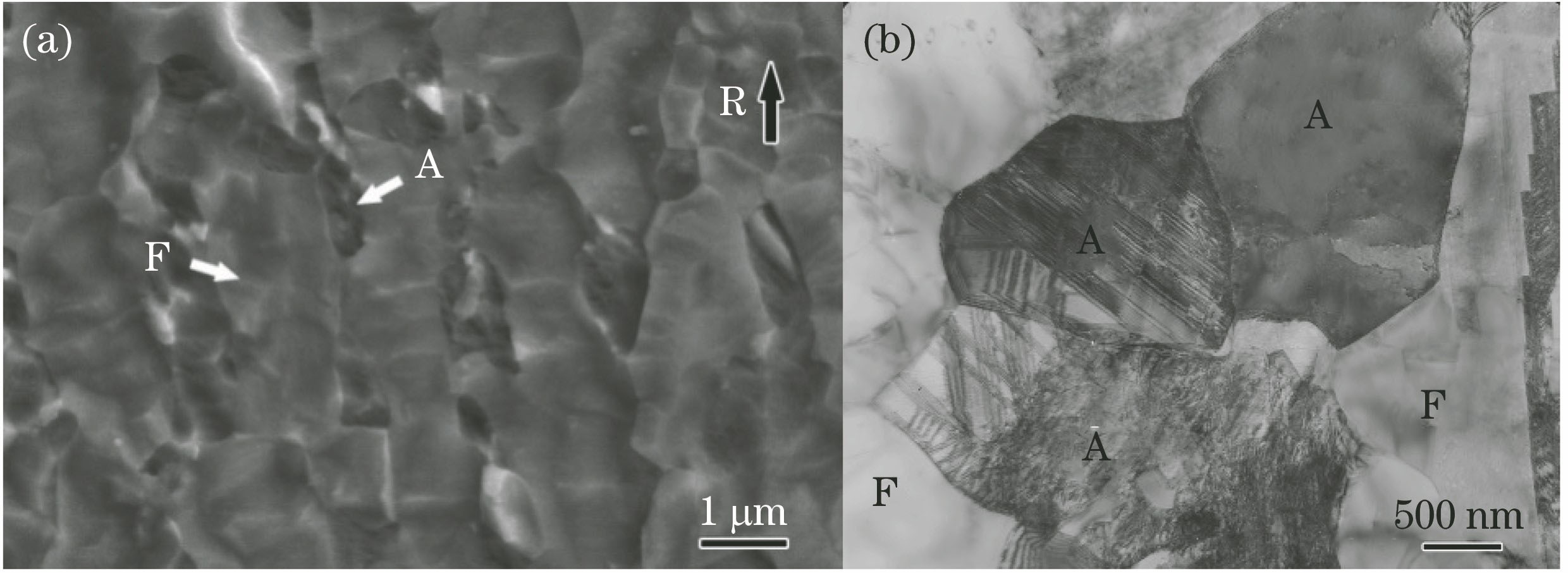 Microstructures of 0.1C-5Mn medium Mn steel. (a) Under scanning electron microscope; (b) under transmission electron microscopy