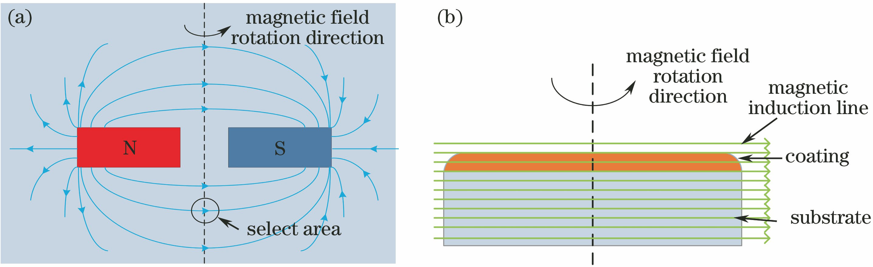 Schematic of magnetic field distribution. (a) Magnetic induction line distribution; (b) magnetic field distribution within workpiece
