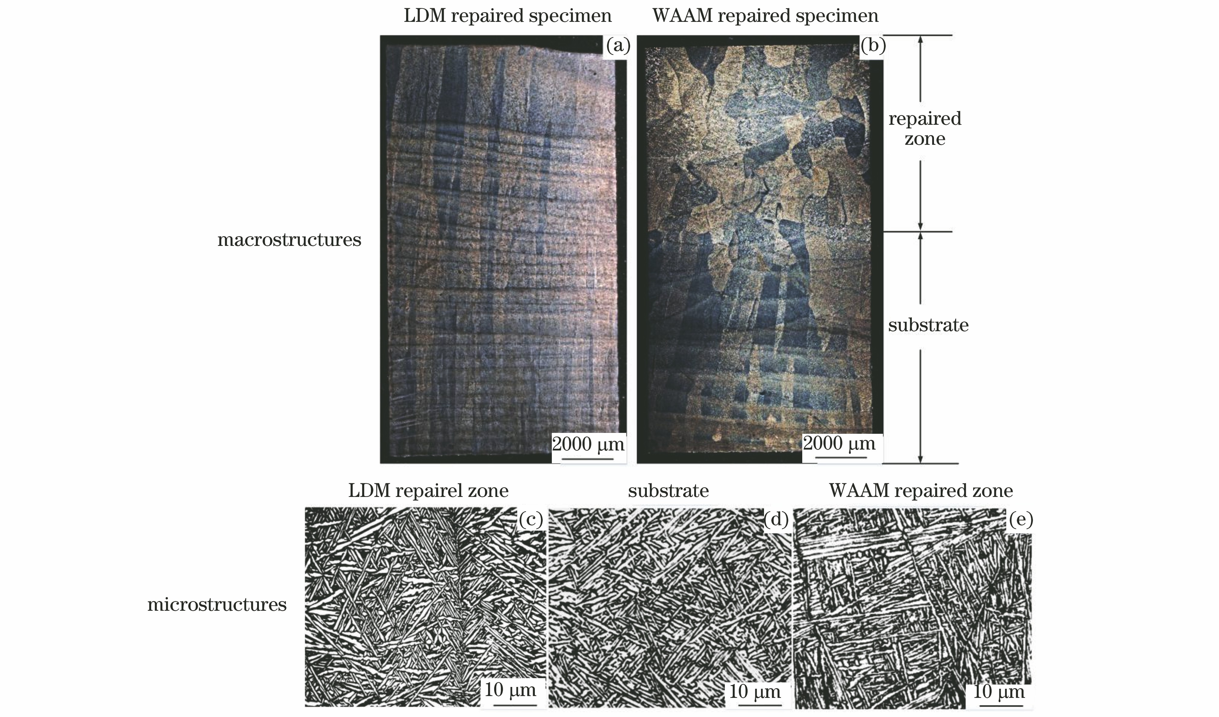 Macrostructures and microstructures of the LDM repaired specimens and WAAM repaired specimens