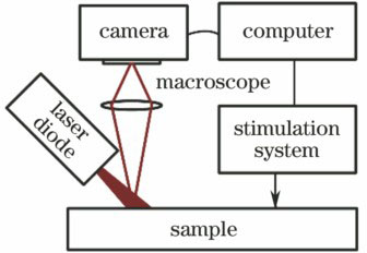 System diagram of a typical viscoelastic measurement of biological tissues based on laser speckle