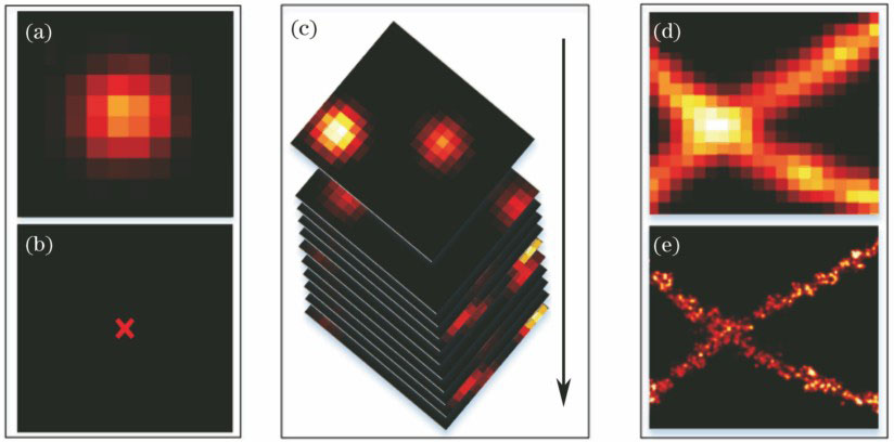 Principle of super-resolution localization microscopy. (a) Airy disk from single molecule fluorescence imaging; (b) localized single molecule position; (c) separation of densely labelled fluorescence molecules into multiple frames; (d) single molecule fluorescence image from conventional fluorescence microscopy; (e) image from super-resolution localization microscopy